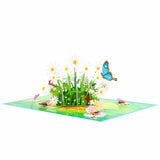 Daisy And Butterflies Pop-Up Card