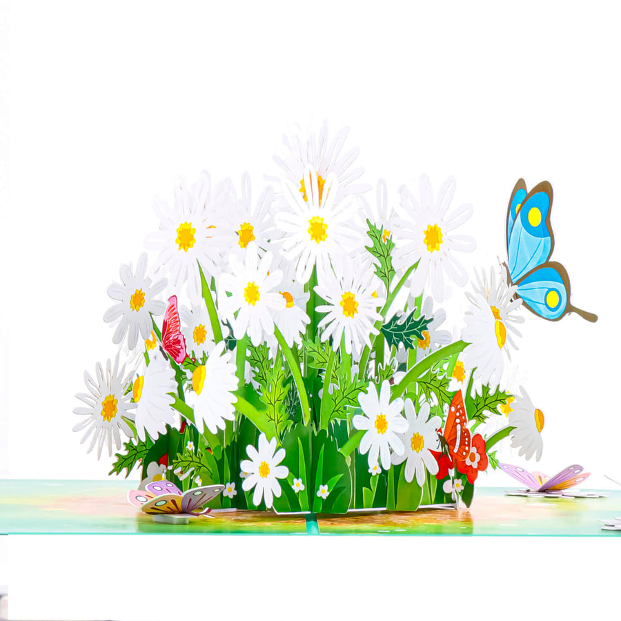 Daisy And Butterflies Pop-Up Card