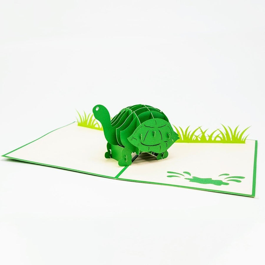 Cute Tortoise Pop Up Card