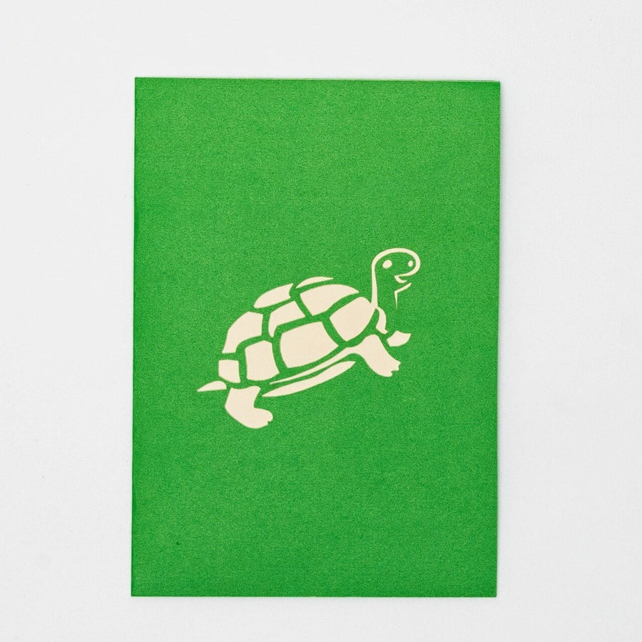 Cute Tortoise Pop Up Card