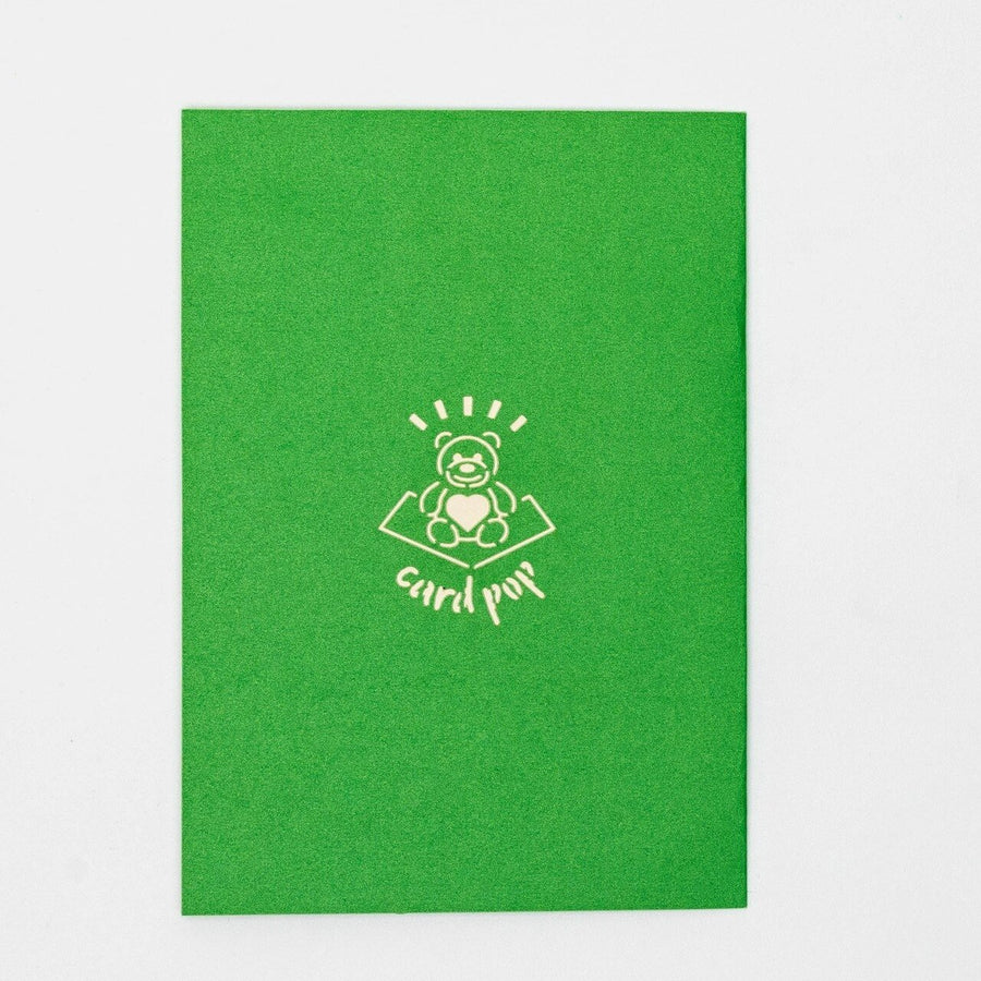 Cute Tortoise Pop Up Card