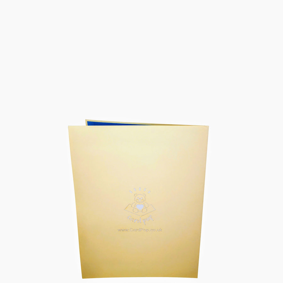 Polar Bear 3D Pop Up Card UK