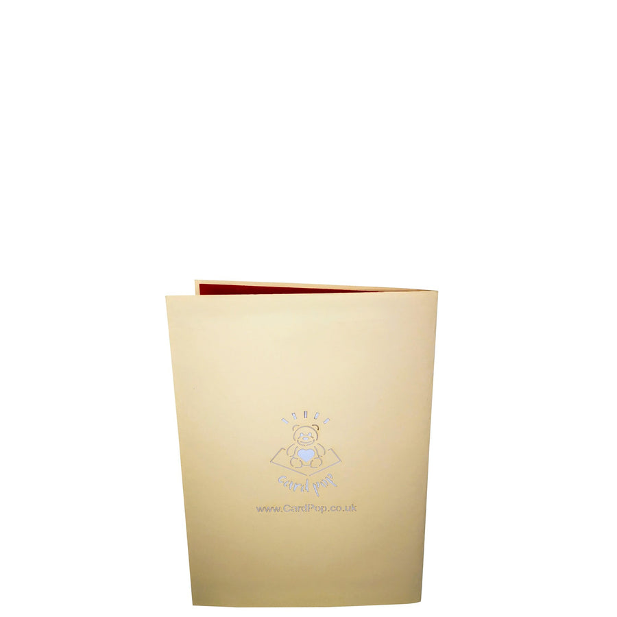 Pansy Garden 3D Pop Up Card UK