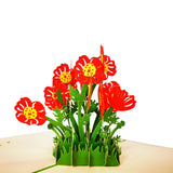 Poppy Flower 3D Pop Up Card UK