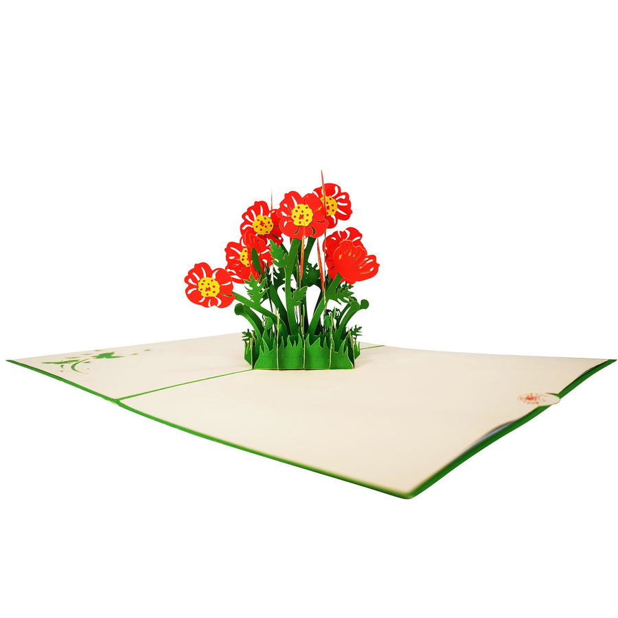 Poppy Flower 3D Pop Up Card UK