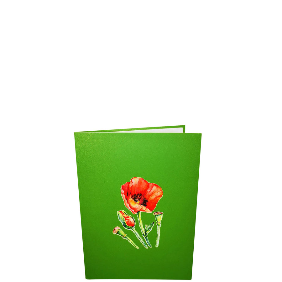 Poppy Flower 3D Pop Up Card UK
