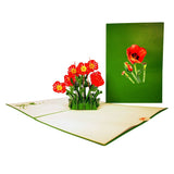 Poppy Flower 3D Pop Up Card UK