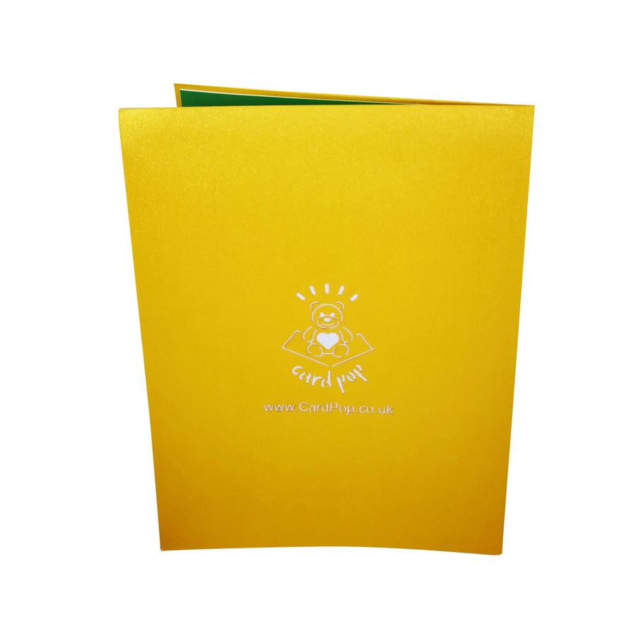 Just Married Wedding Car 3D Pop Up Card UK