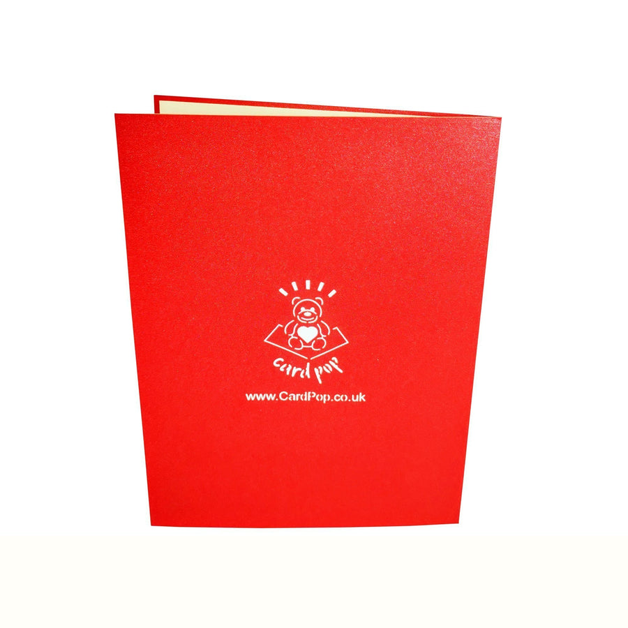 Lovebird and Heart Bird Box Love Valentine Anniversary Wedding 3D Pop Up Card UK