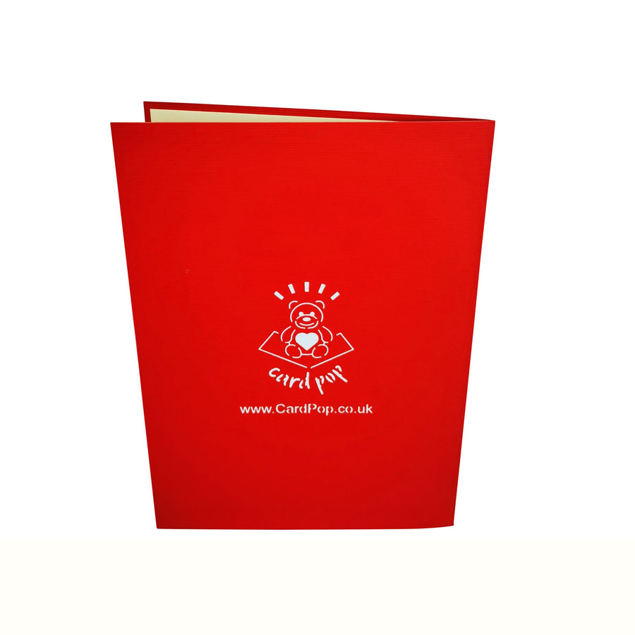 Love Bicycle Love Valentine Anniversary Wedding 3D Pop Up Card UK