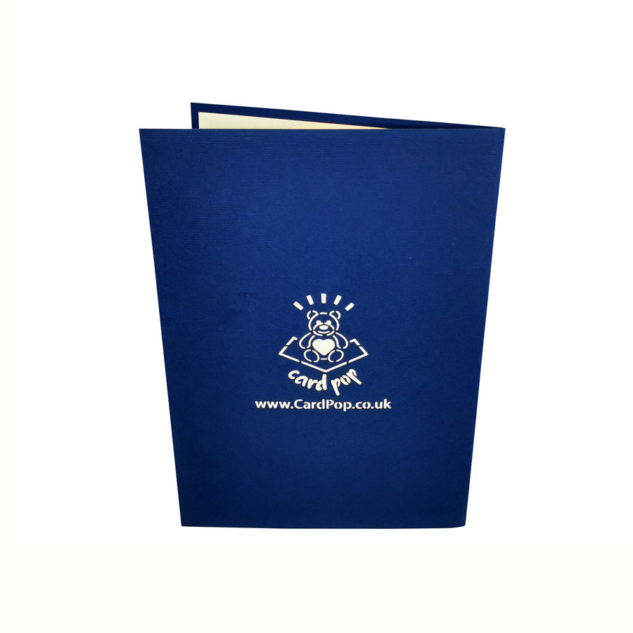 Long Neck Dinosaur 3D Pop Up Card UK