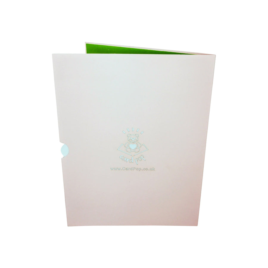 Male & Female Romance Scene 3D Pop Up Card UK