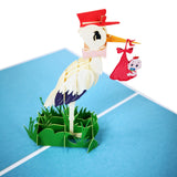 Stork Delivering Baby Boy 3D Pop Up Card UK