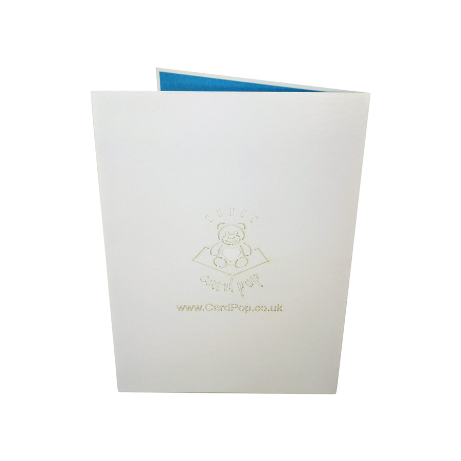 Stork Delivering Baby Boy 3D Pop Up Card UK