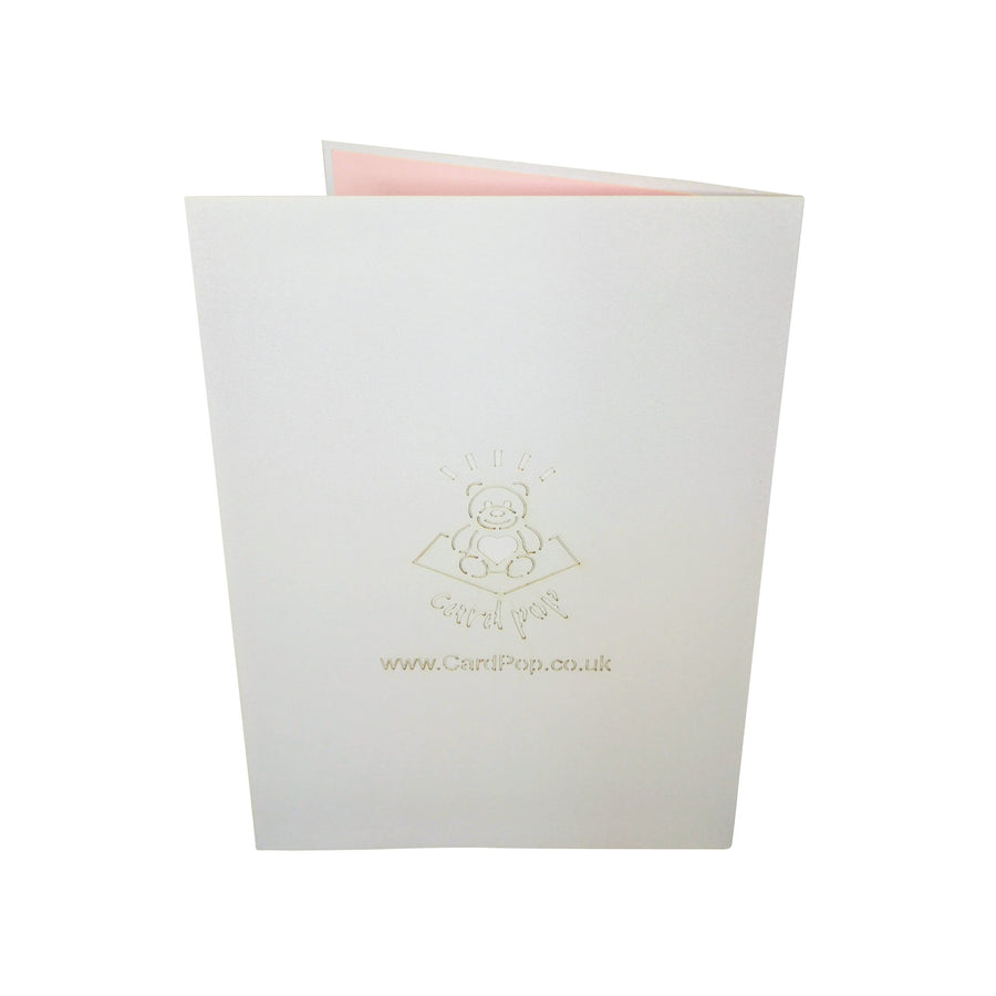 Stork Delivering Baby Girl 3D Pop Up Card UK