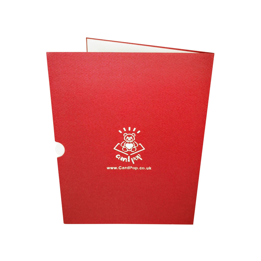 Fire Breathing Dragon 3D Pop Up Card UK