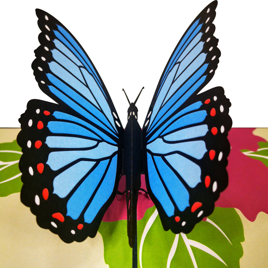 Blue Butterfly 3D Pop Up Card UK