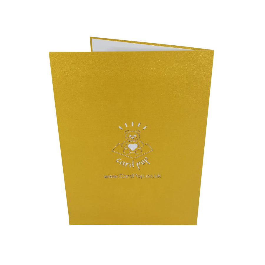 19th Birthday 3D Pop Up Card UK