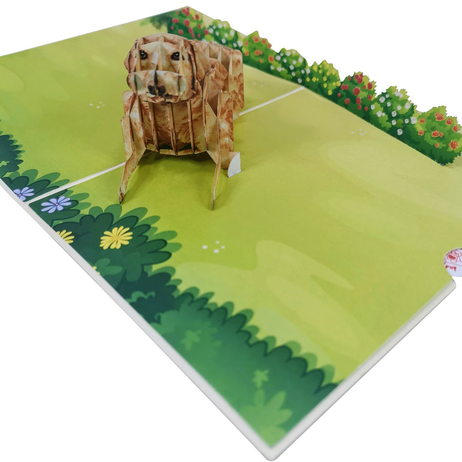 Golden Retriever 3D Pop Up Card UK