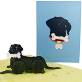Black Labrador Retriever 3D Pop Up Card UK
