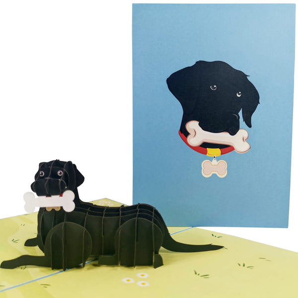 Black Labrador Retriever Pop-Up Card