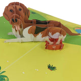 Beagle Dog 3D Pop Up Card UK