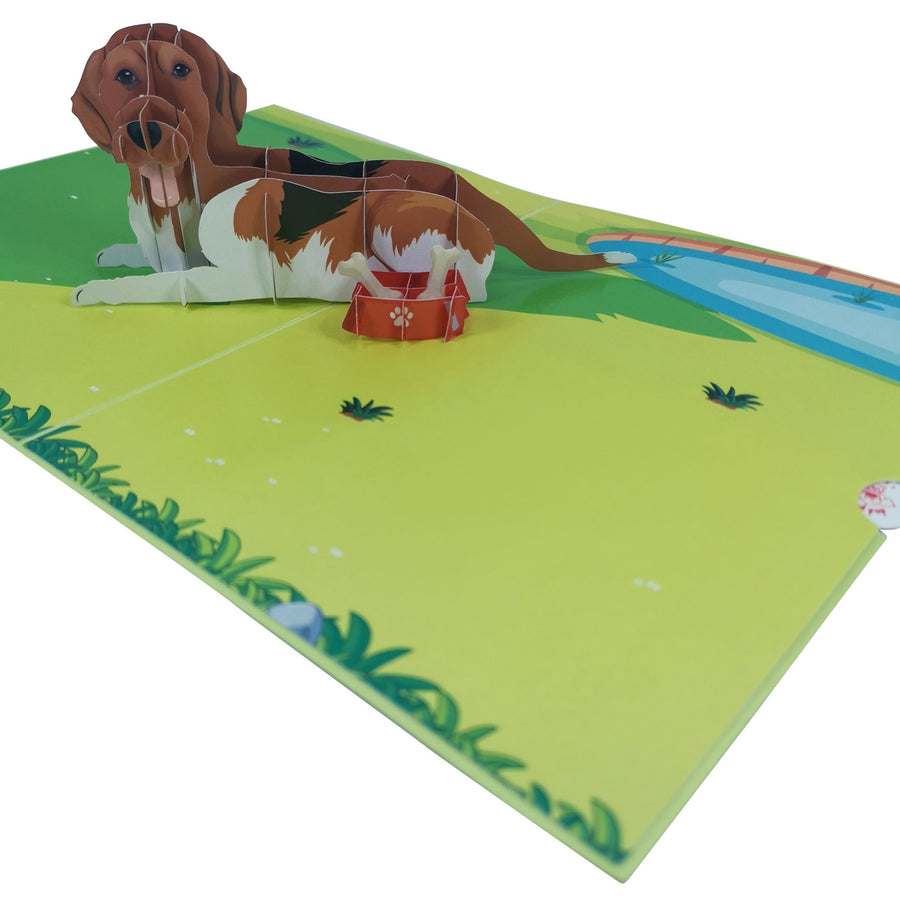 Beagle Dog 3D Pop Up Card UK