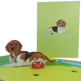 Beagle Dog 3D Pop Up Card UK