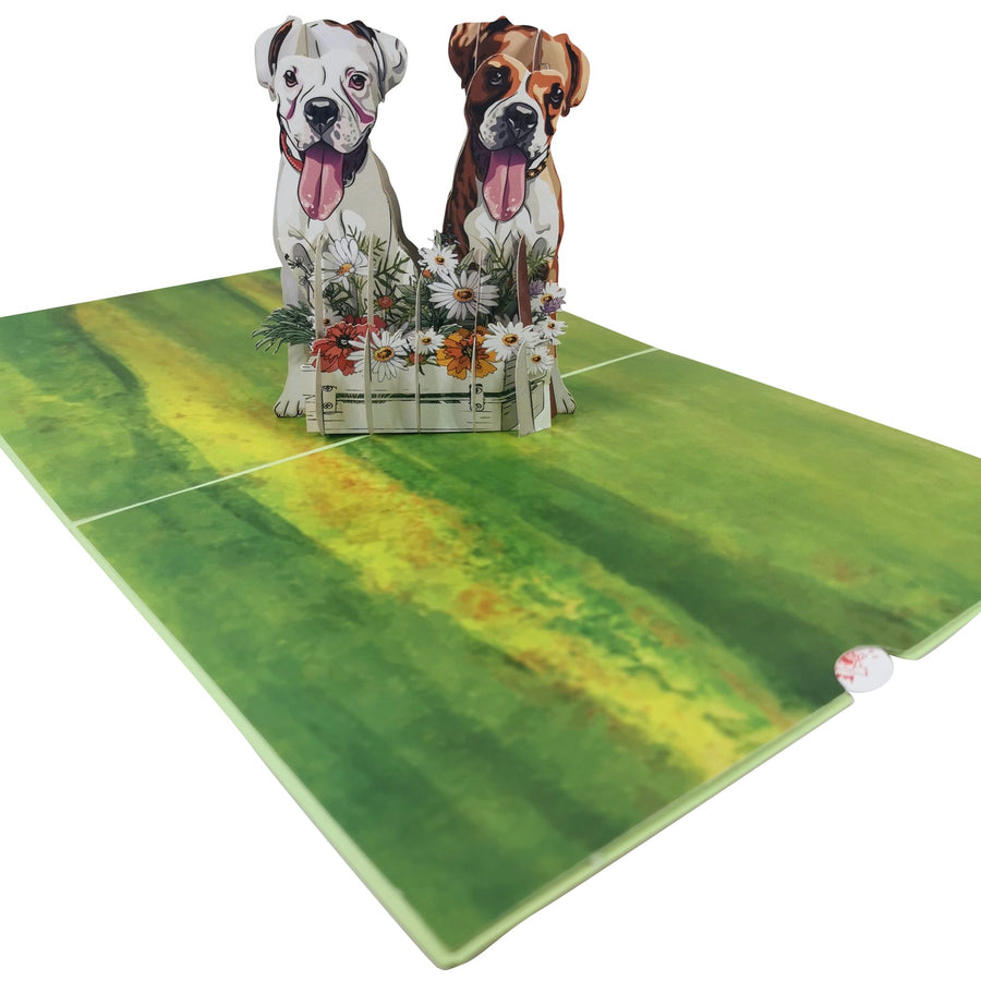 2 Boxer Dogs 3D Pop Up Card UK
