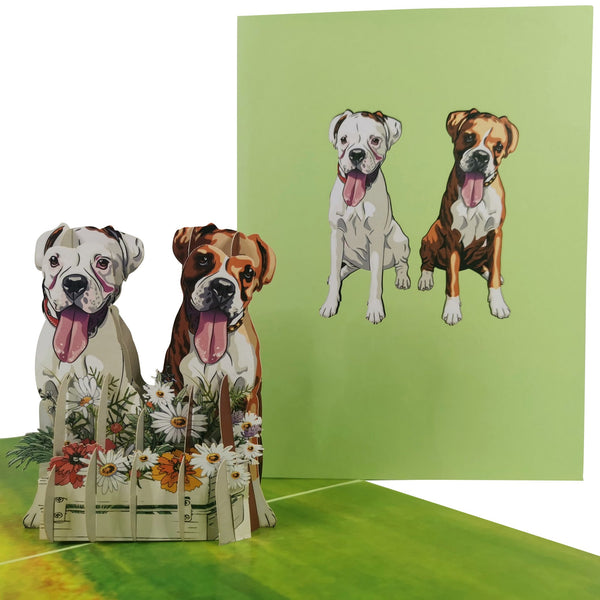 2 Boxer Dogs Pop-Up Card