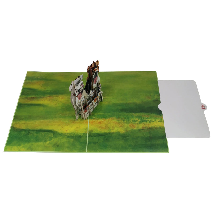 2 Boxer Dogs 3D Pop Up Card UK