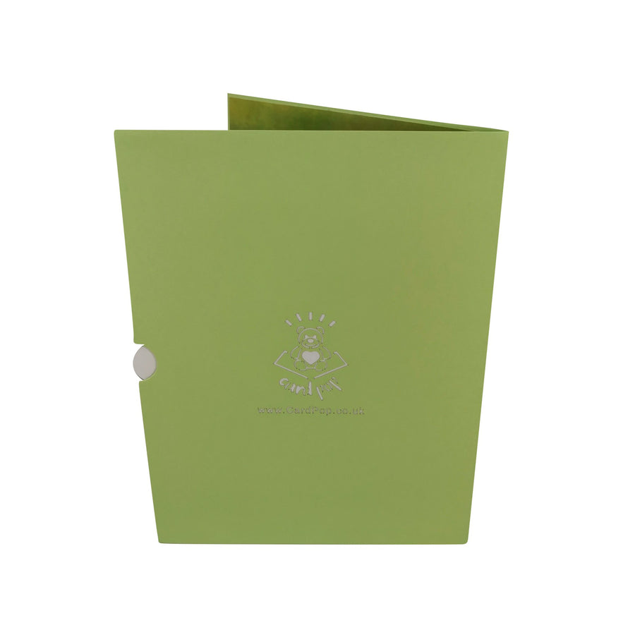 2 Boxer Dogs 3D Pop Up Card UK