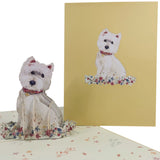 West Highland White Terrier 3D Pop Up Card UK
