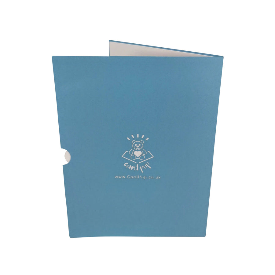 Birthday Cat 3D Pop Up Card UK