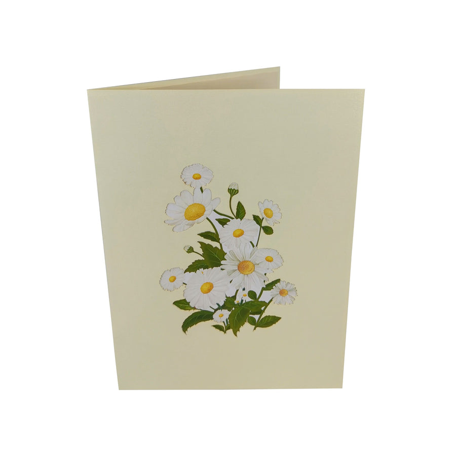 Daisy Bunch 3D Pop Up Card UK