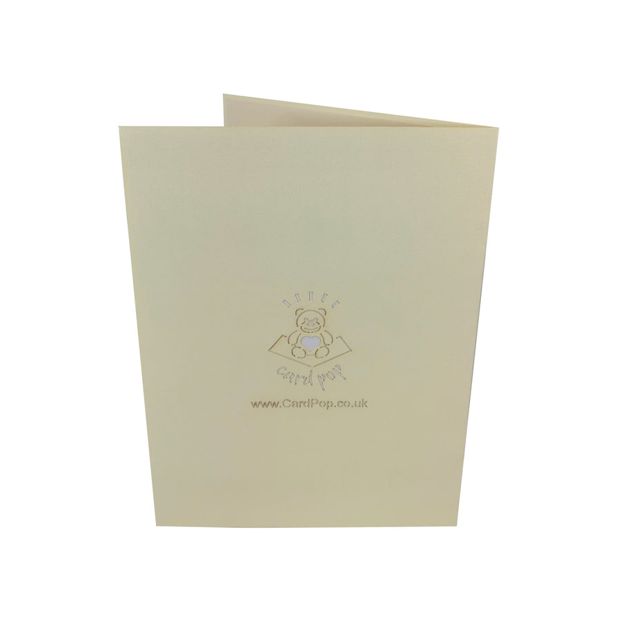 Daisy Bunch 3D Pop Up Card UK