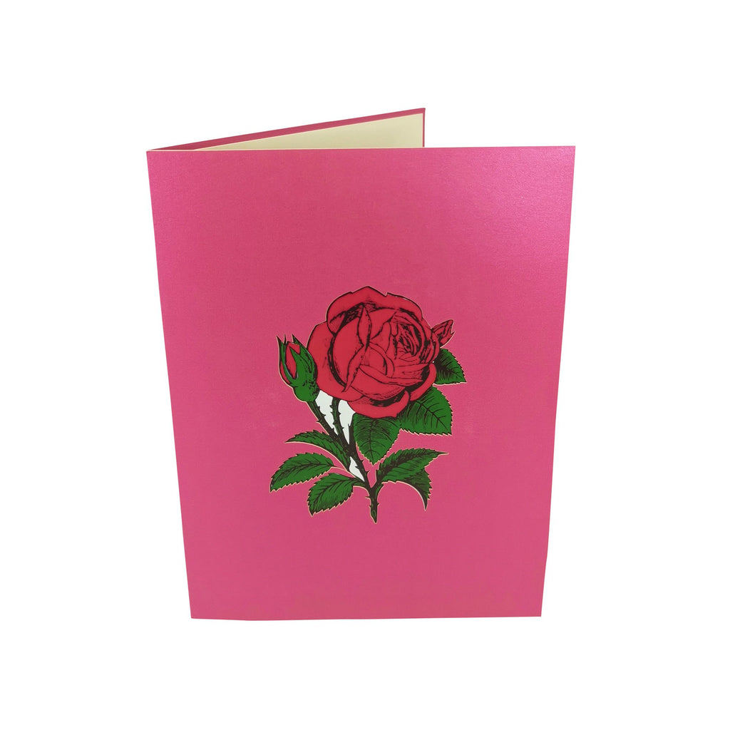 Dark Pink Roses Pop-Up Card – CardPop.co.uk