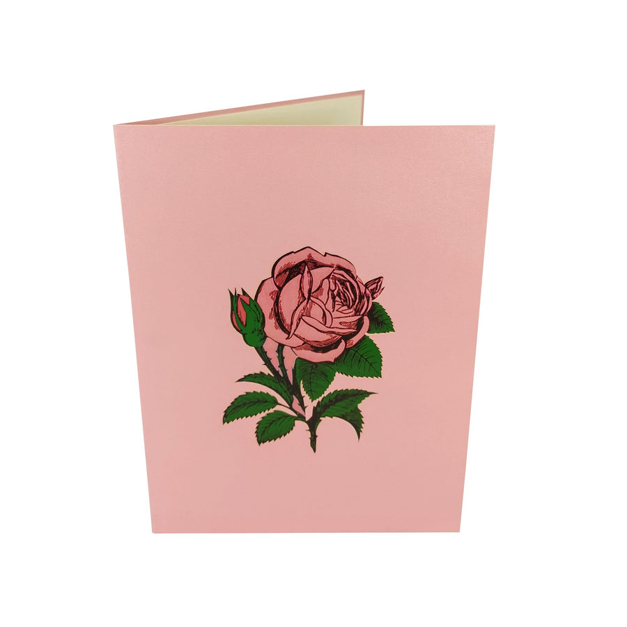 Light Pink Roses 3D Pop Up Card UK