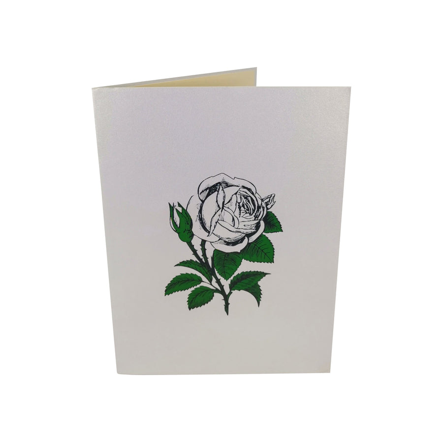 White Roses 3D Pop Up Card UK