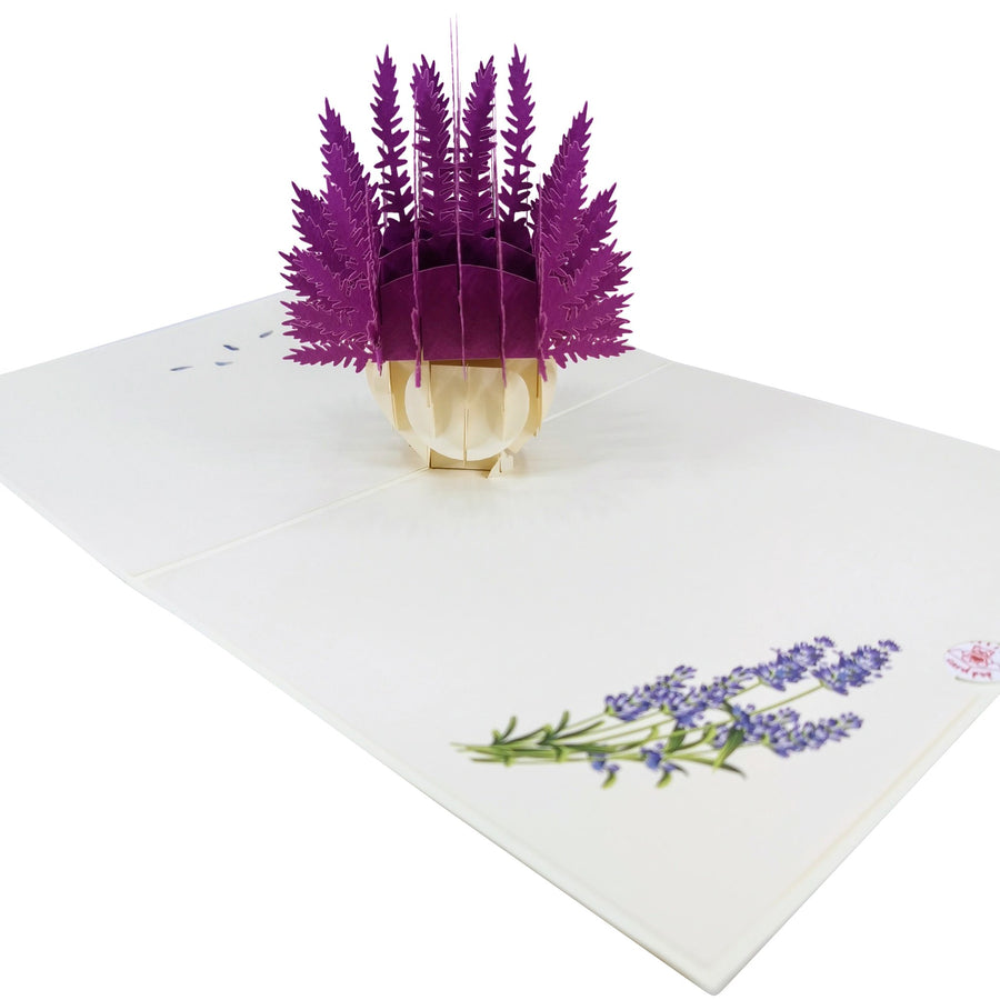 Lavender Flower Vase 3D Pop Up Card UK