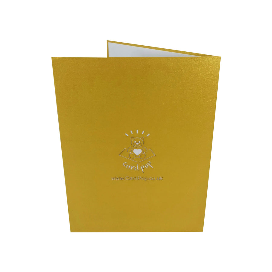 Gerbera Daisy Flower Garden 3D Pop Up Card UK