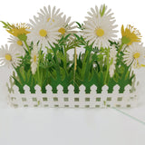 White Daisy Flower Garden 3D Pop Up Card UK