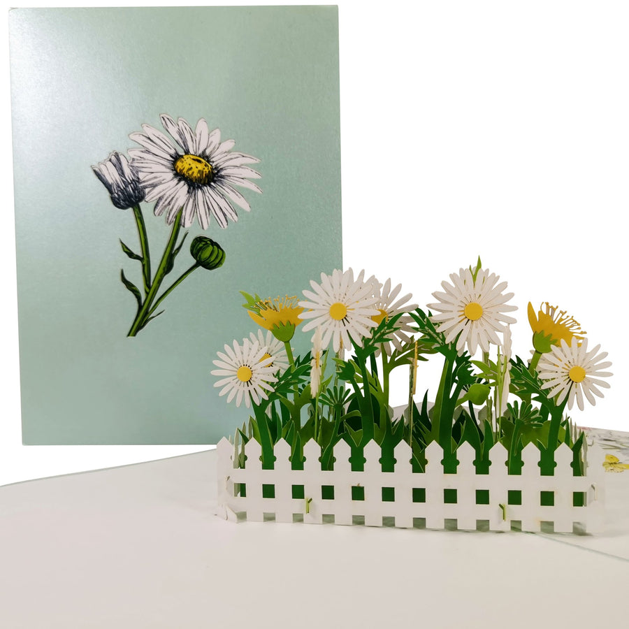 White Daisy Flower Garden 3D Pop Up Card UK