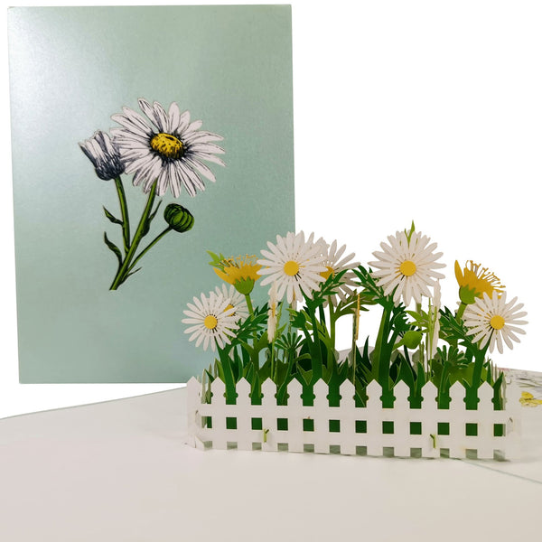 White Daisy Flower Garden Pop-Up Card
