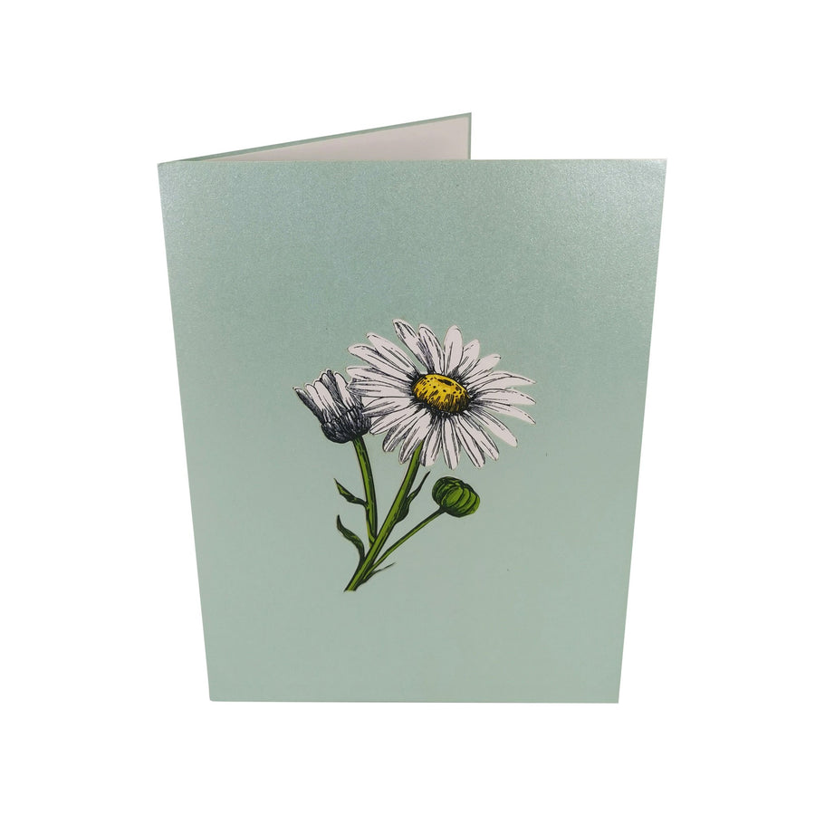 White Daisy Flower Garden 3D Pop Up Card UK