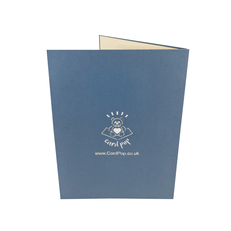 Grey Cat 3D Pop Up Card UK