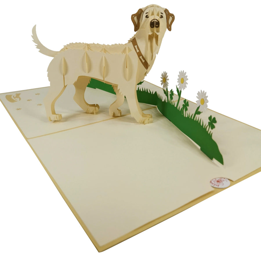 Golden Labrador 3D Pop Up Card UK