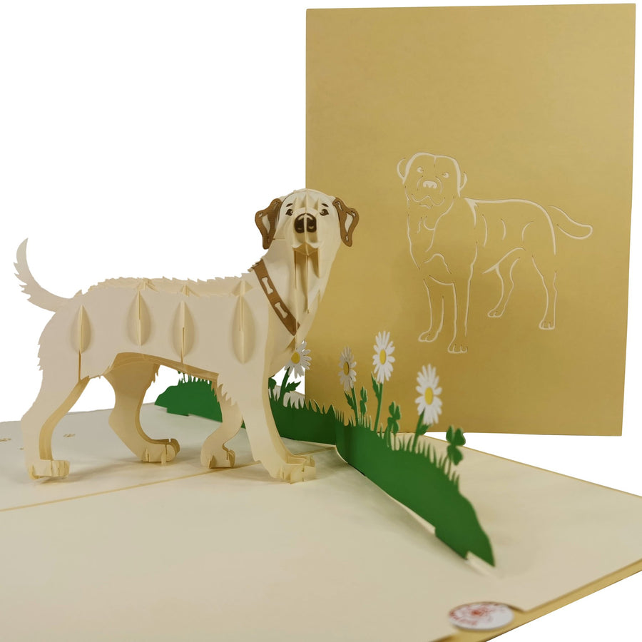 Golden Labrador 3D Pop Up Card UK