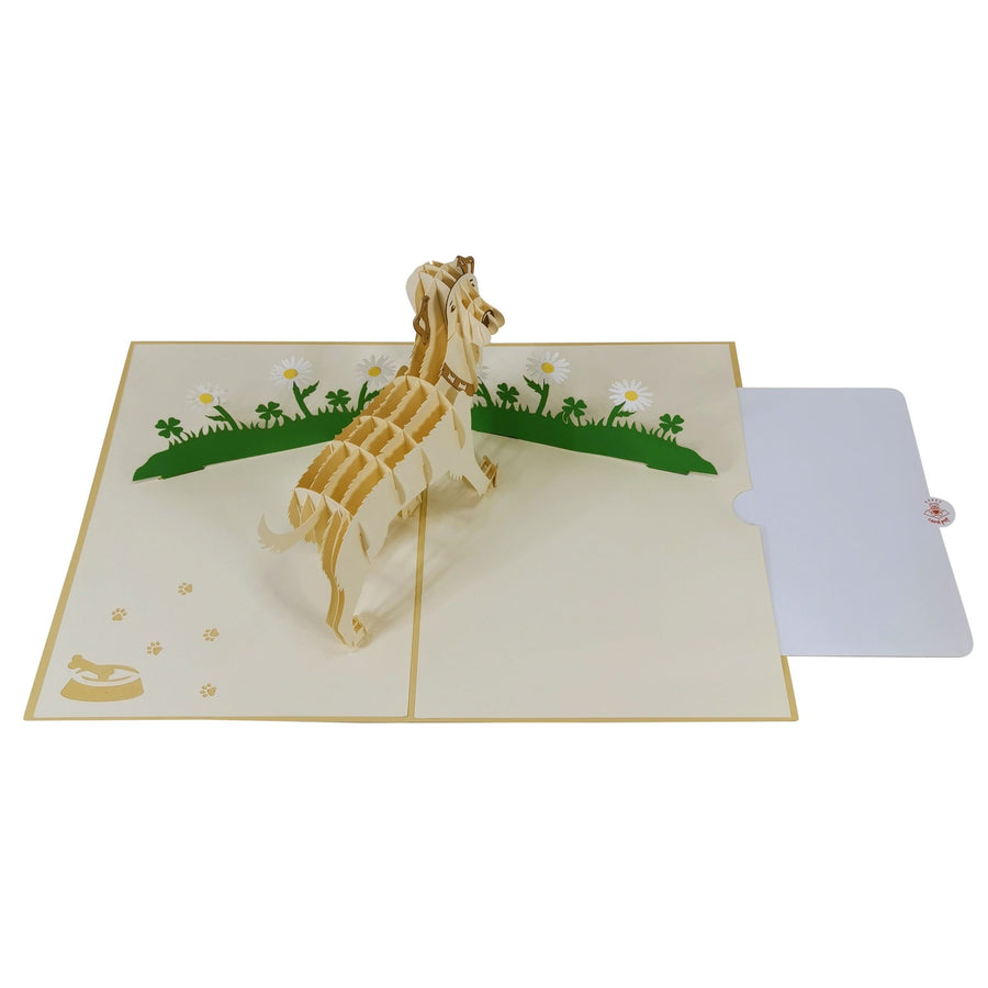 Golden Labrador 3D Pop Up Card UK