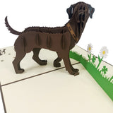 Brown Labrador 3D Pop Up Card UK